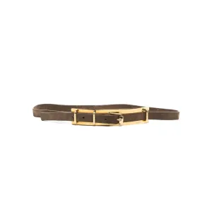 Gold Plate Belt